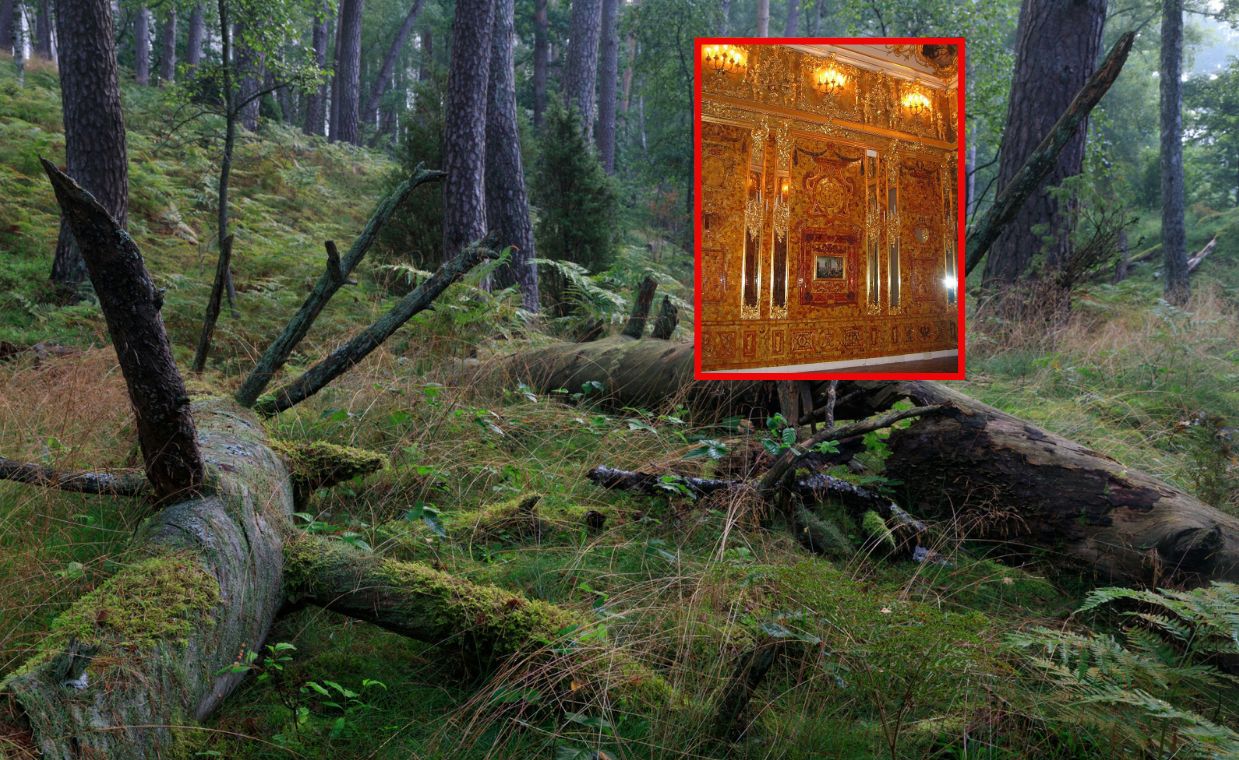 Czy Bursztynowa Komnata jest ukryta na Kaszubach? Nowe tropy