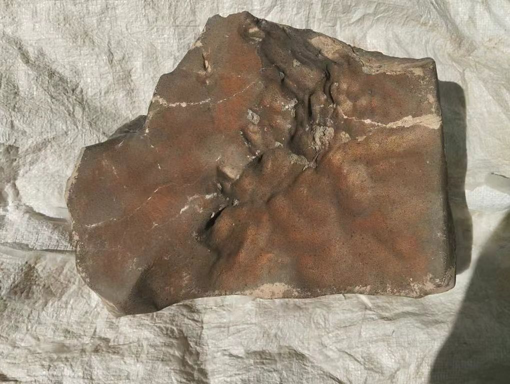 Znalazł kawałek Marsa. Był warty 20 mln zł