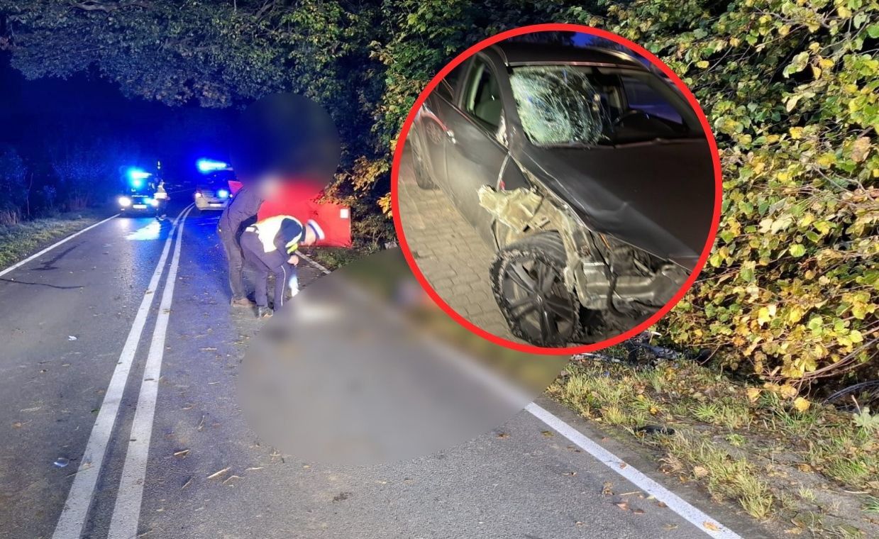 Zabił dziecko w Polsce. Wiemy, co zrobił wcześniej w Dani