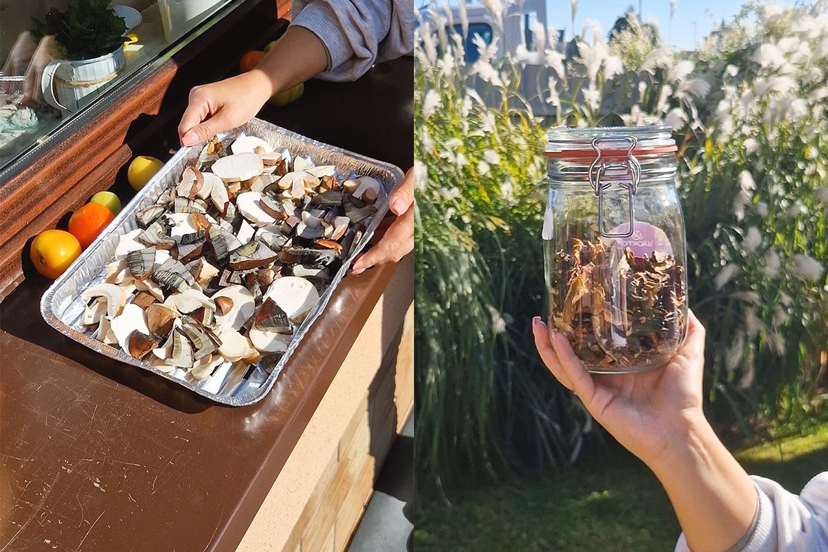 Daria zdradza, jak suszyć grzyby zebrane w lesie. Ma sprawdzony patent