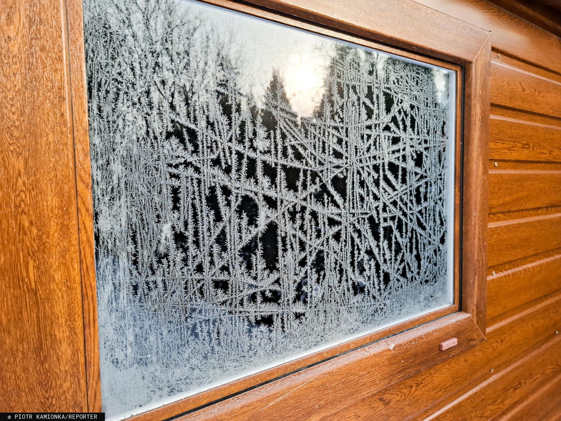 5 tys. zł kary dla działkowców. Urzędnicy mierzą odległości od płotu