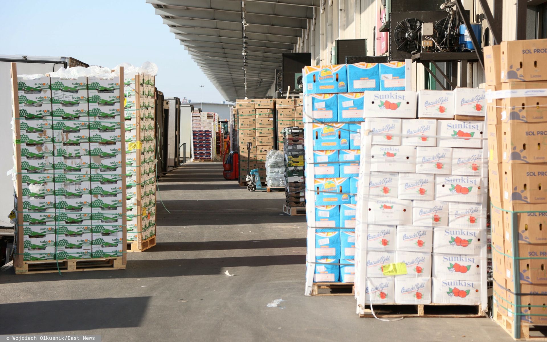 Przerwa największego rynku rolnego. Oto do kiedy będzie zamknięty