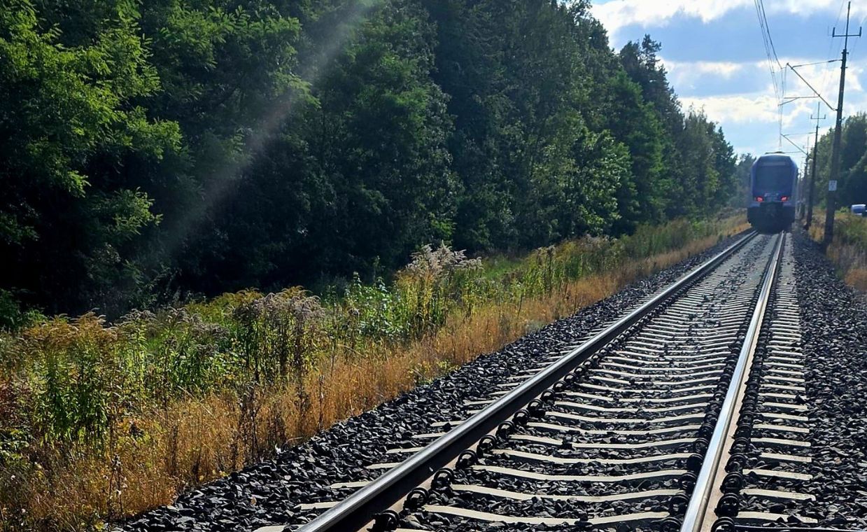 Pociąg potrącił 32-latka. Koszmar na przejeździe kolejowym