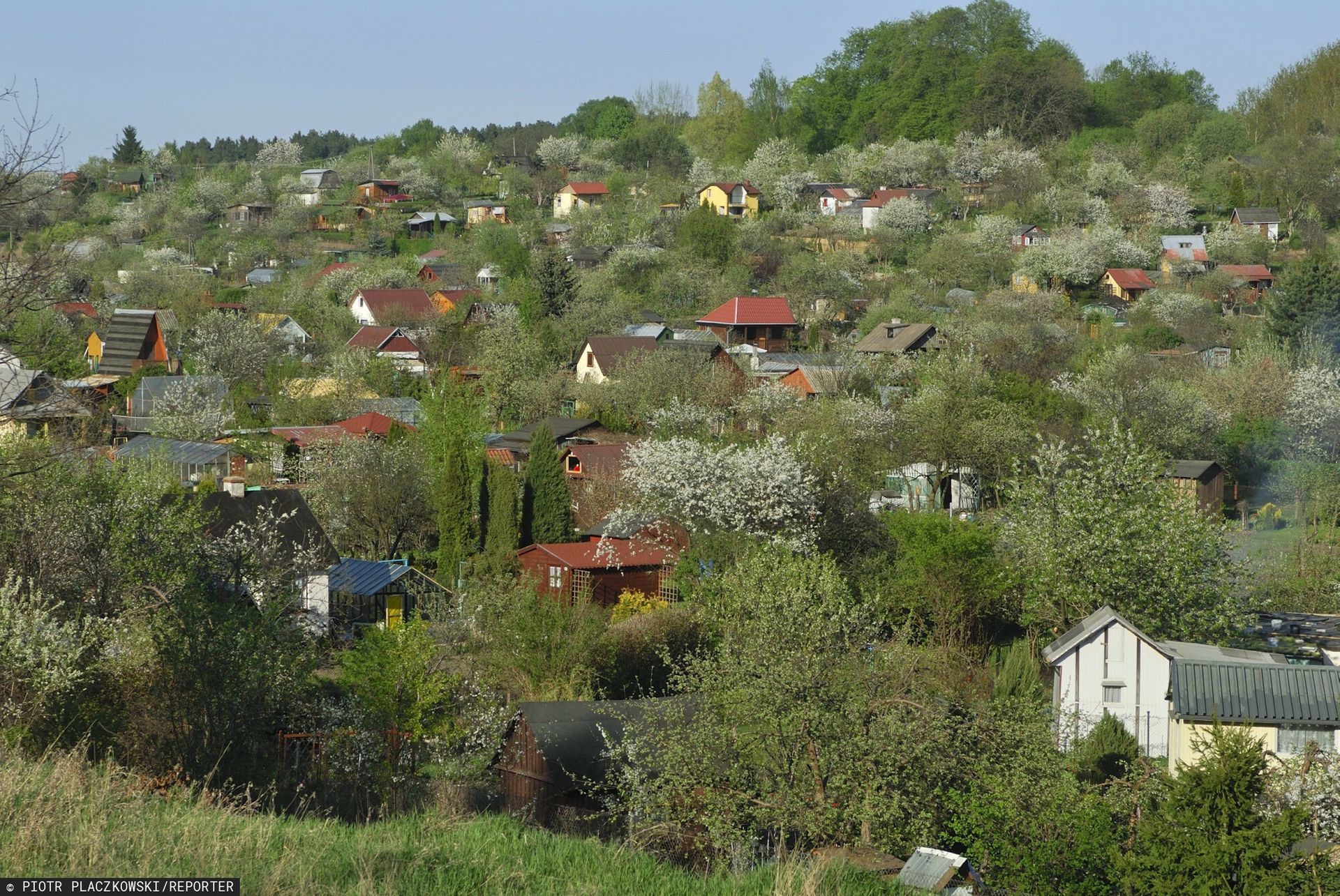 Drżą o swoje ogródki. W planie pojawiła się nowa funkcja na miejscu ROD