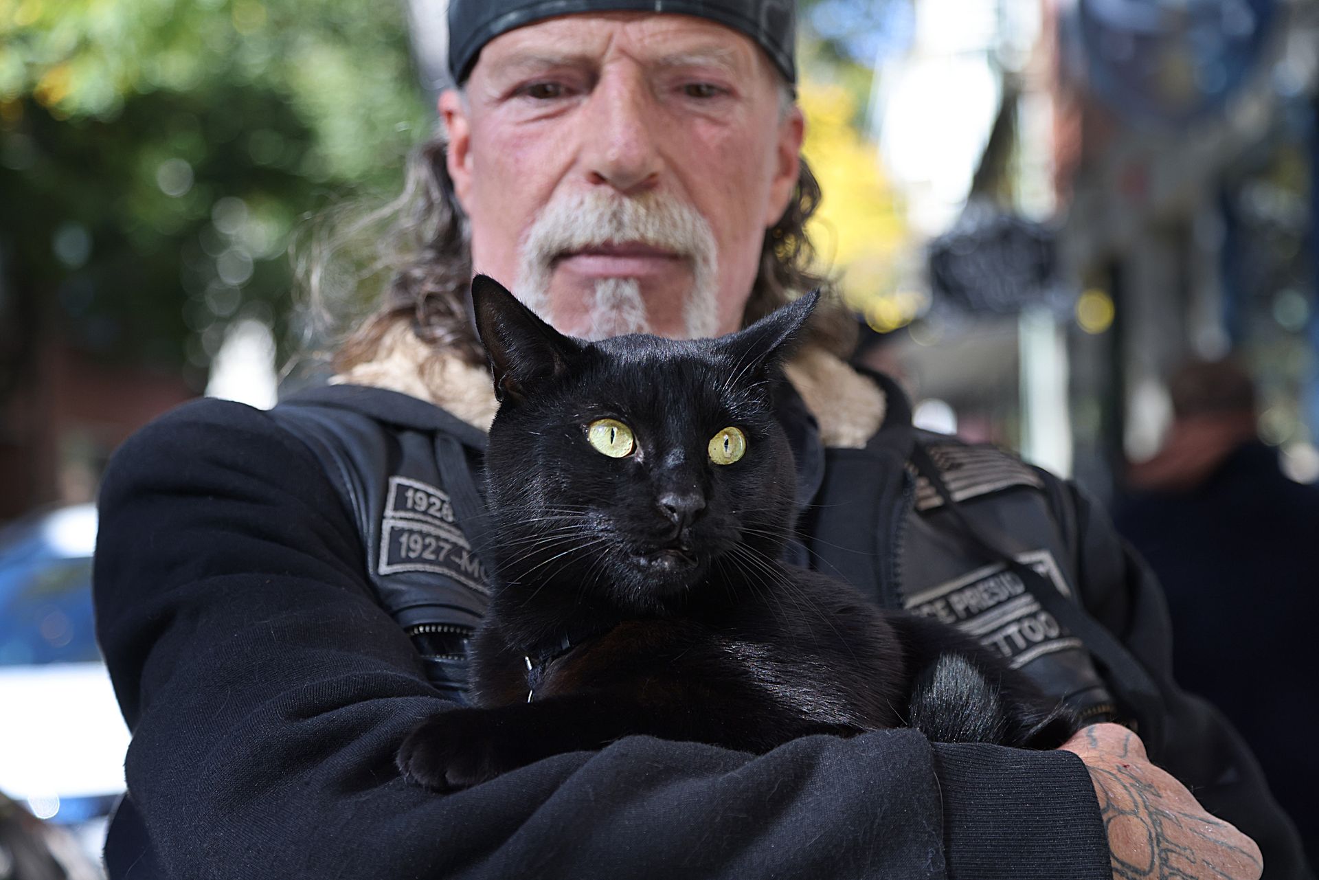 Czarny kot przebiegł drogę? Stąd wzięła się ich sława