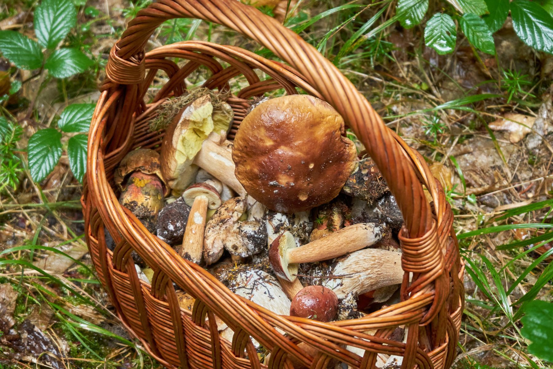 Dziadek zawsze puka w kapelusz. Najpierw się śmiałem, teraz robię to samo