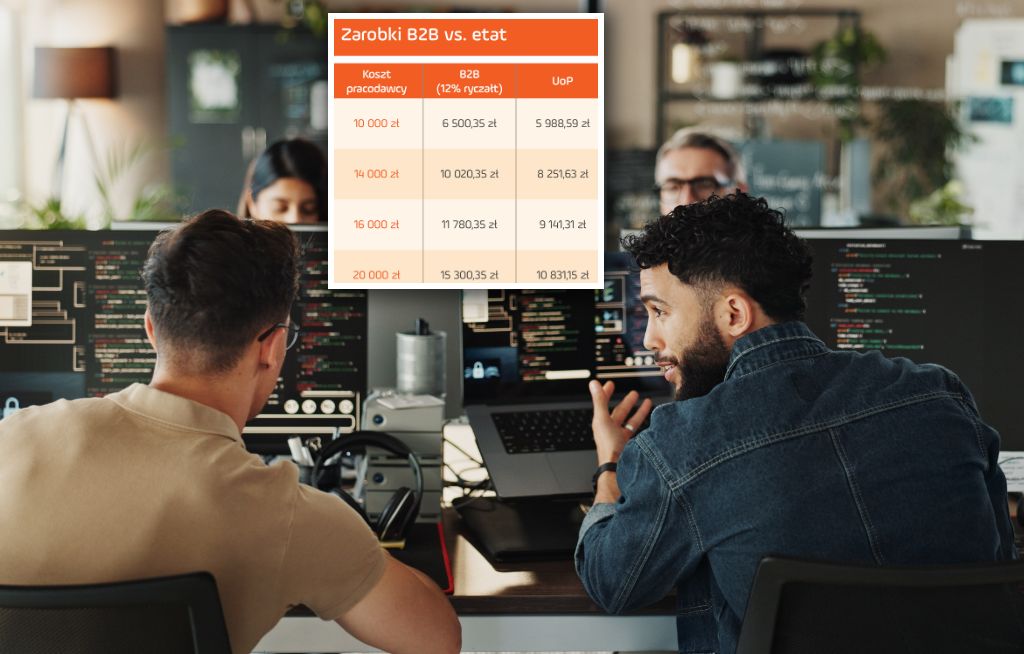 Boją się rządowej reformy. Oto ile mają do stracenia programiści