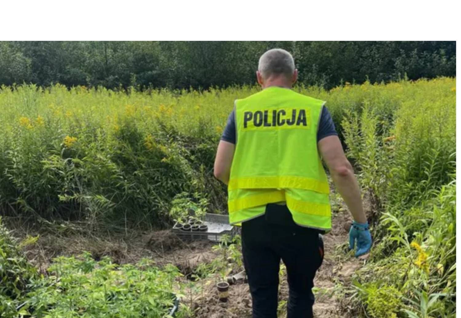Tajemniczy obiekt na Lubelszczyźnie. Policja wydała komunikat