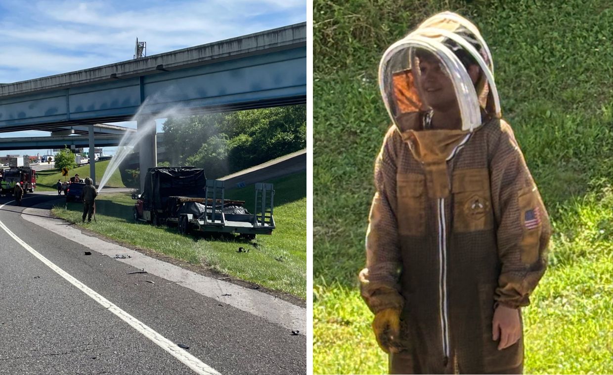Rój pszczół na autostradzie. Niecodzienny incydent w USA