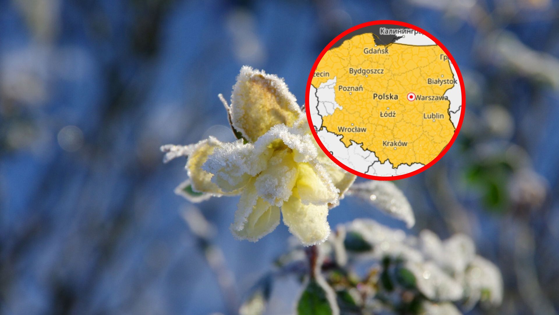 Ostrzeżenia dla całego kraju. Wydano alerty