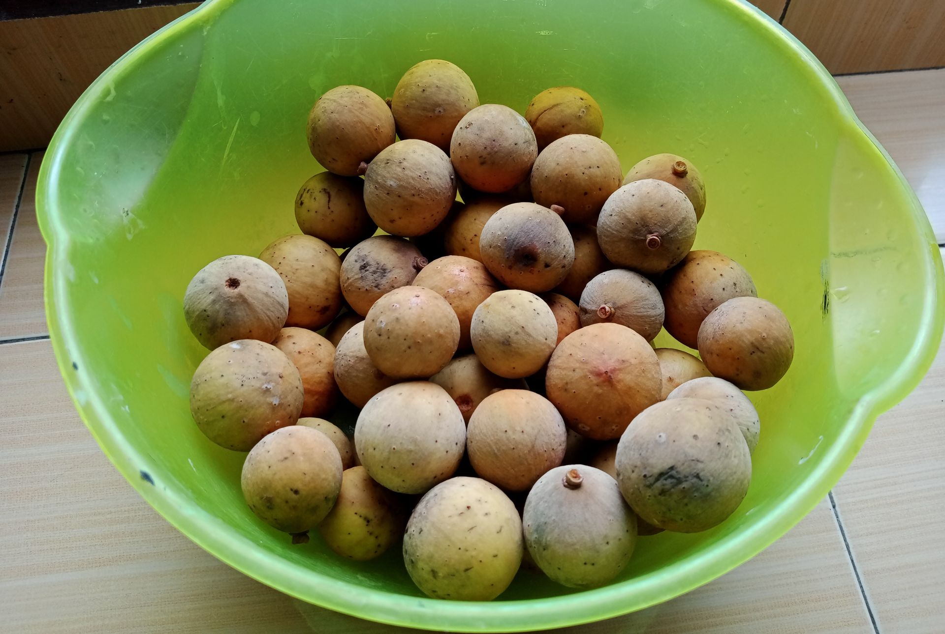 Na pierwszy rzut oka wyglądają jak młode ziemniaczki, a to owoce. Doskonale wzmacniają kości i zęby