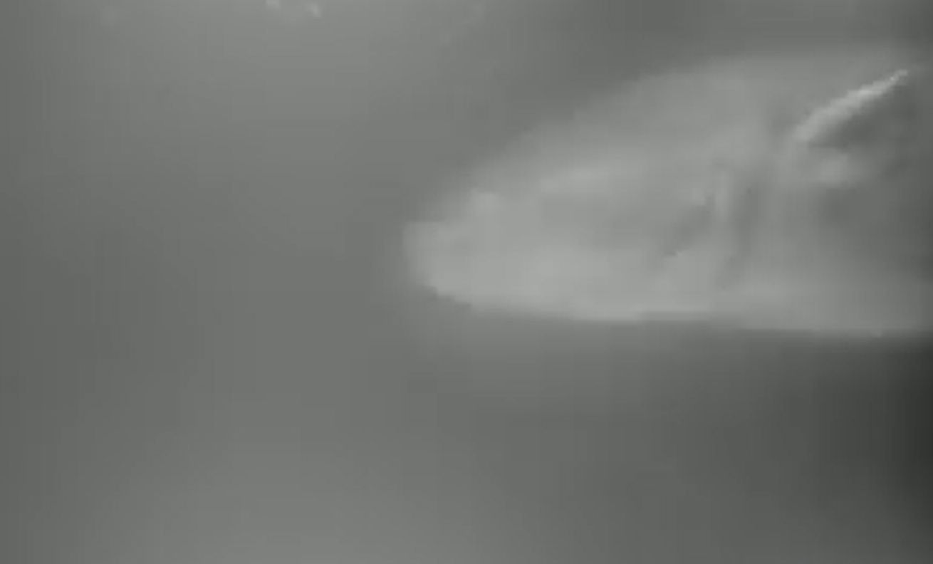 Wielki sum w Słupi. Uchwyciła go kamera