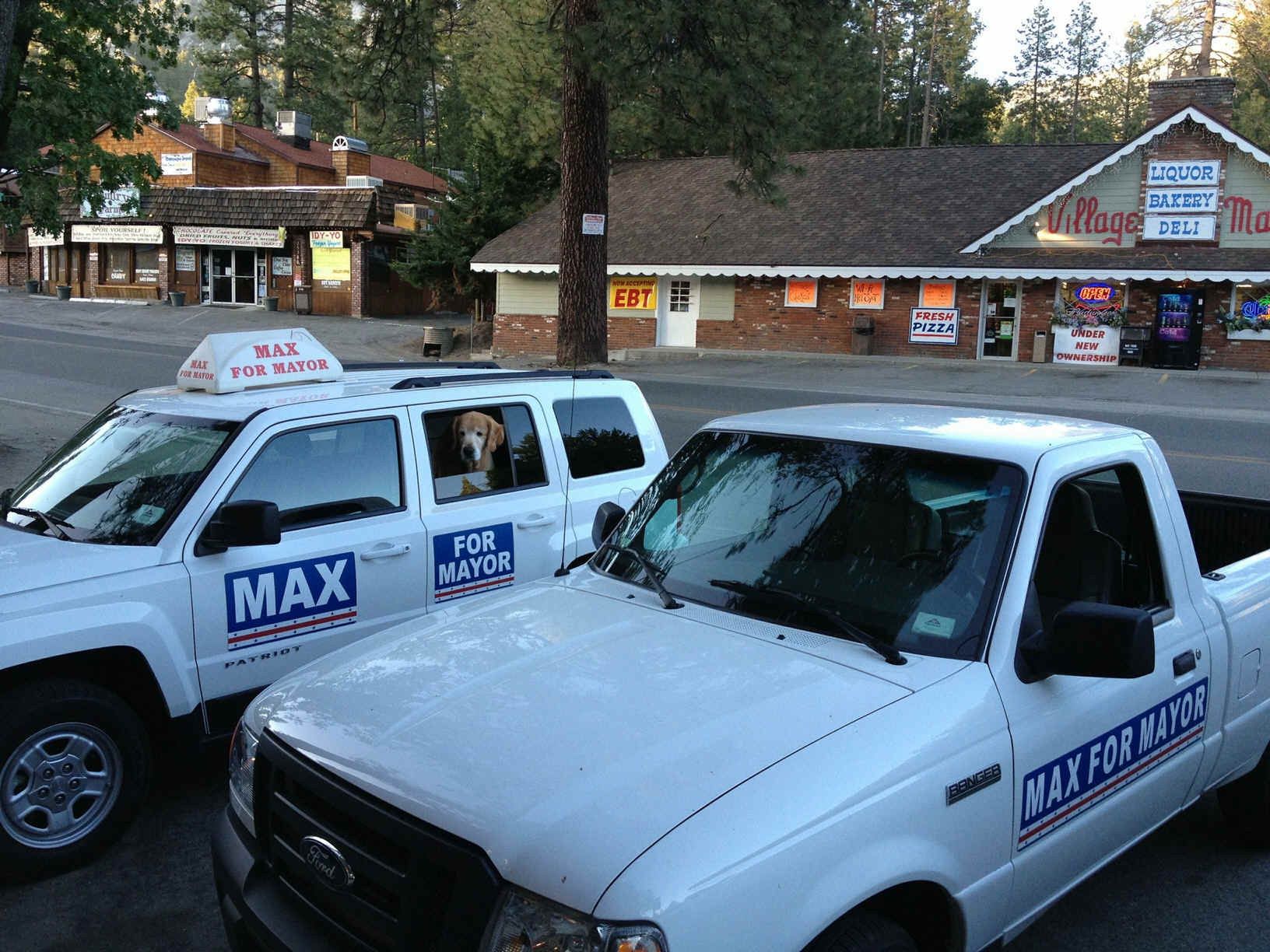 Mają burmistrza. Nie jest nim człowiek