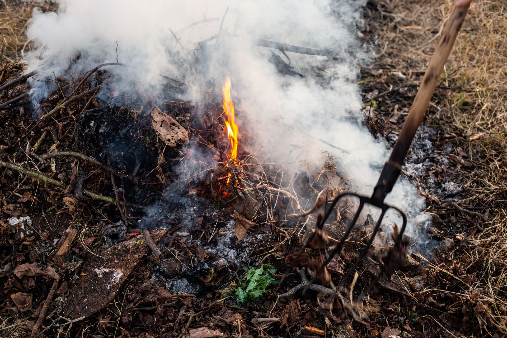 Palenie odpadami na działce. Za gałęzie możemy zapłacić mandat