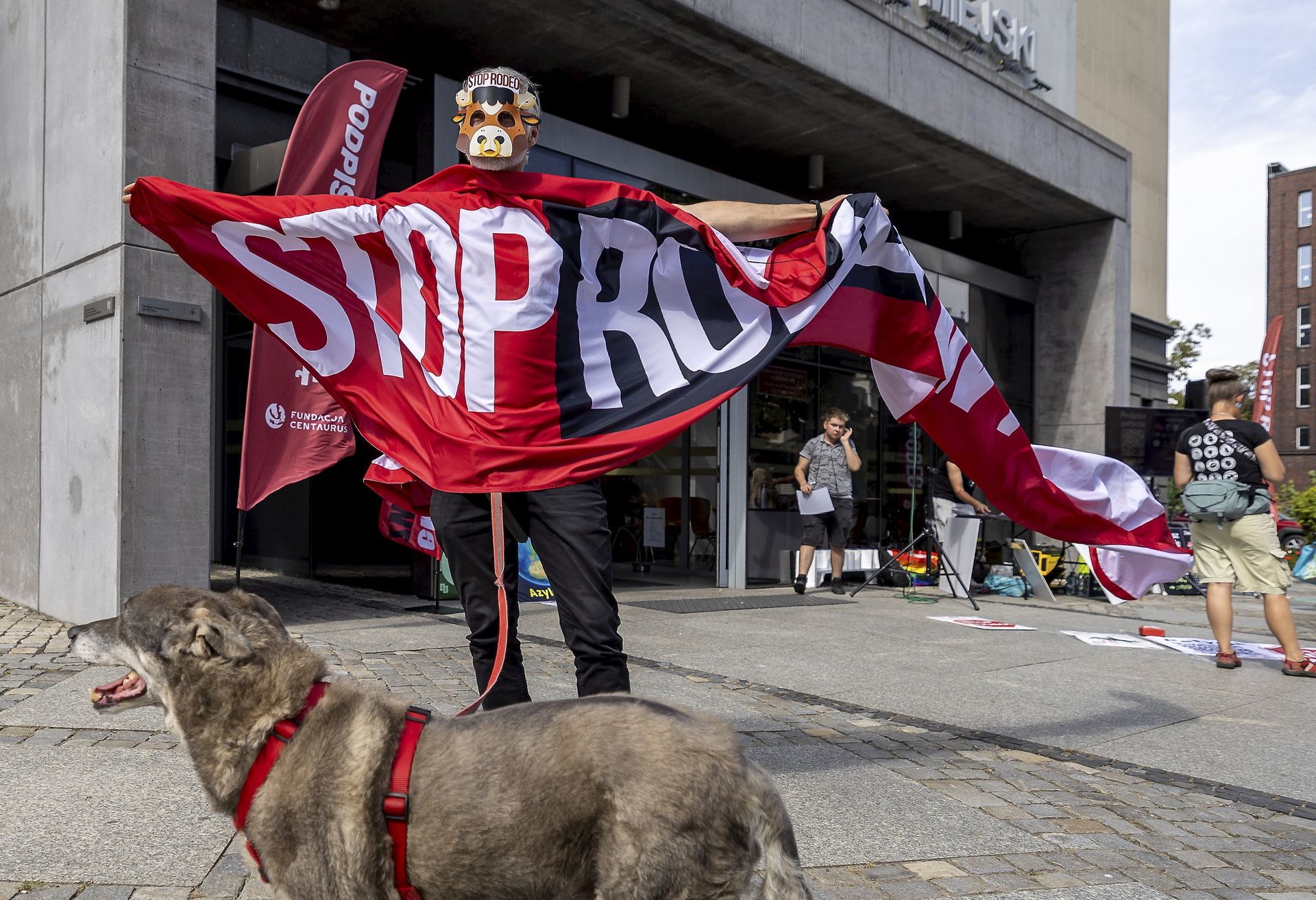 Organizator rodeo idzie do sądu. "Straciliśmy milion złotych"