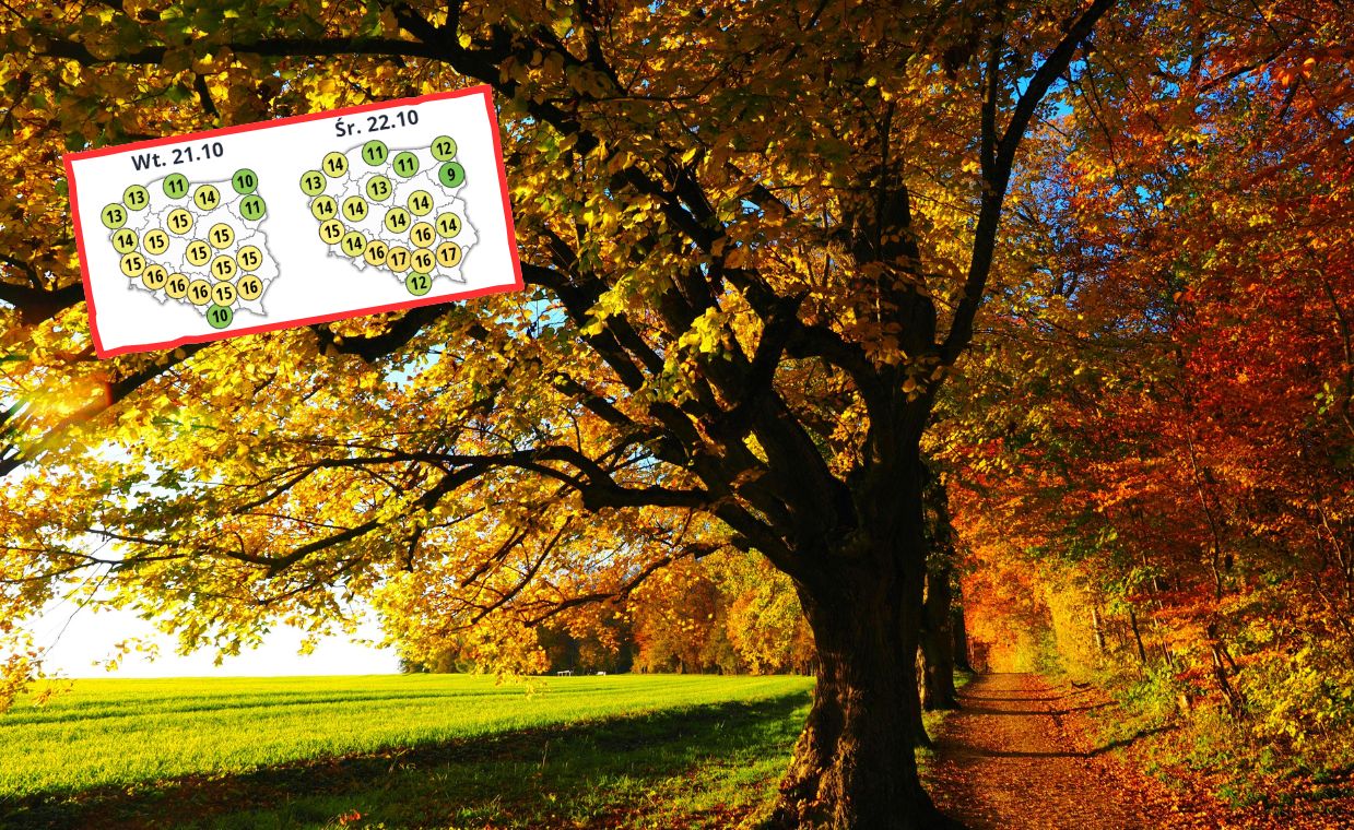 W październiku jeszcze wróci ciepło. Szansa na złotą polską jesień?