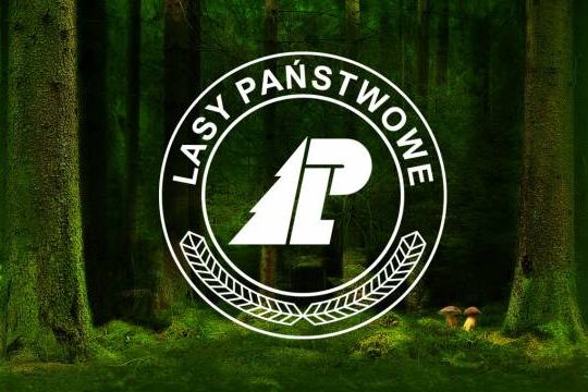 Lasy Państwowe tworzą Centrum Komunikacji Społecznej