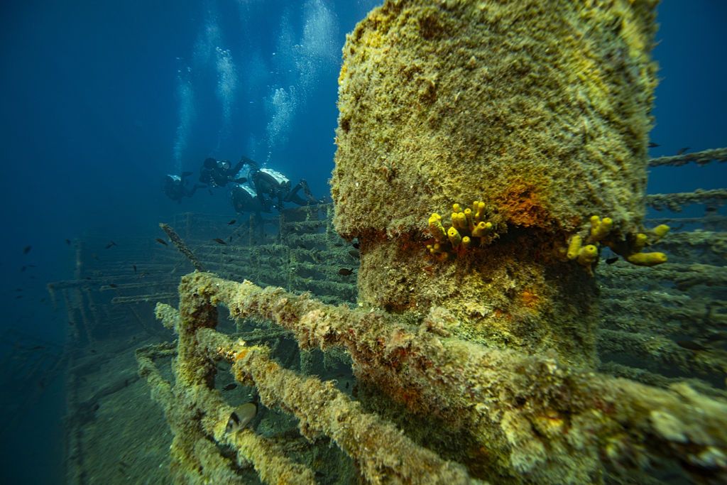 1,6 mln ton zalega w Bałtyku. Dla nich to raj