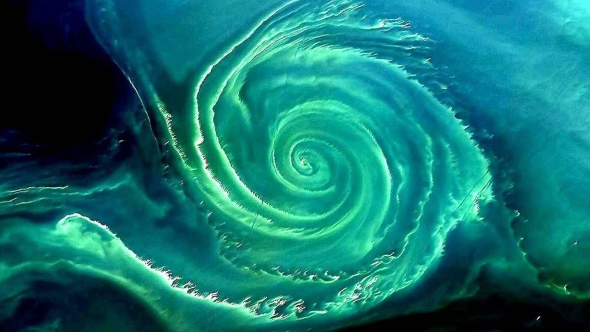 Zielony wir nad Bałtykiem widać z kosmosu. NASA ostrzega