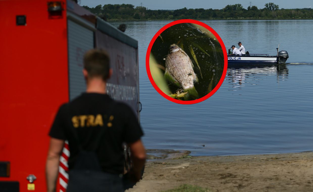 Zakaz wchodzenia do wody przez cały lipiec. Alert RCB