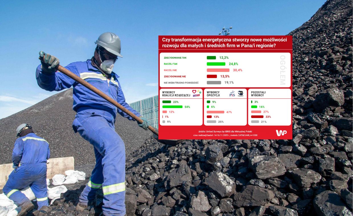 Głębokie podziały ws. transformacji energetycznej. Jest sondaż WP
