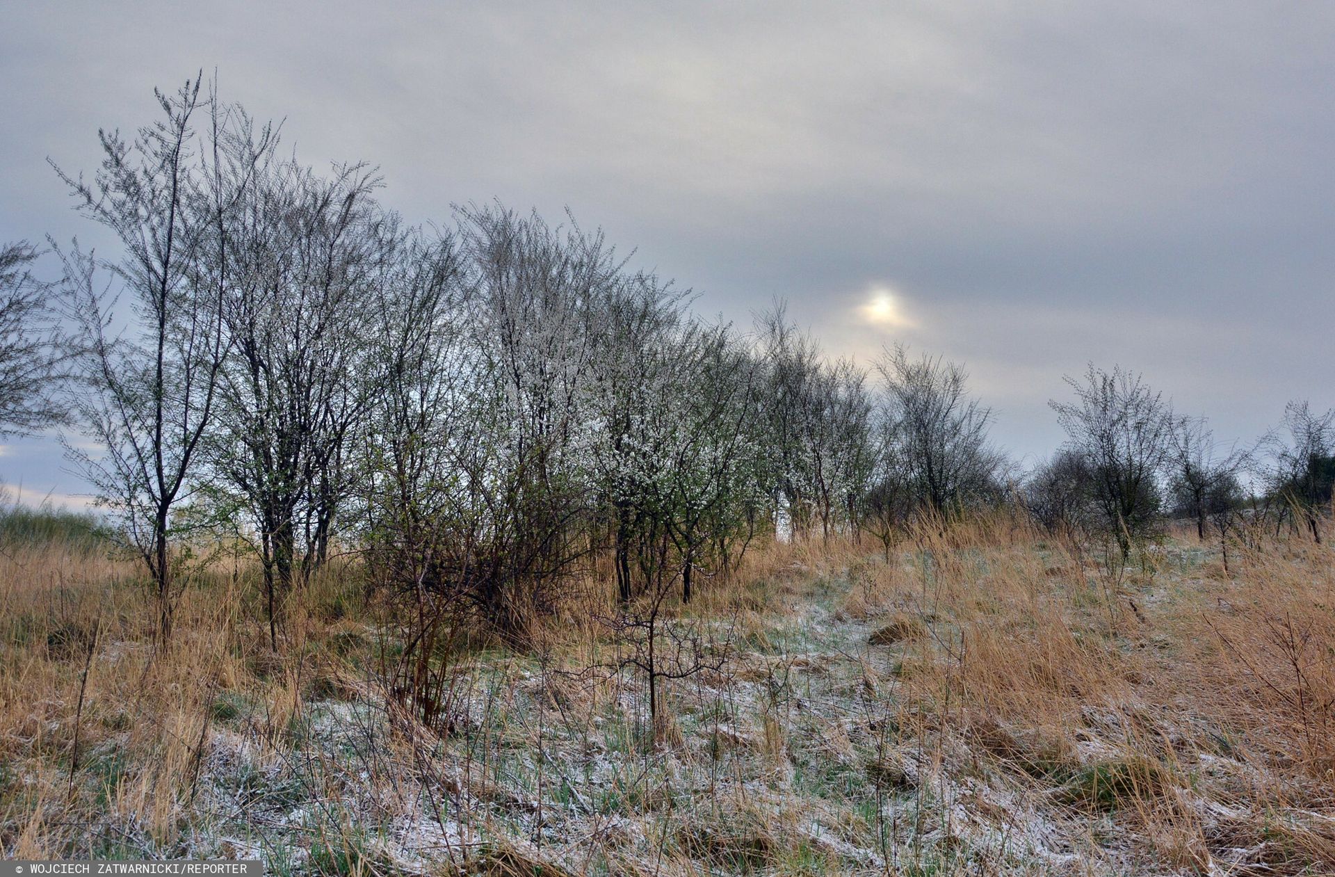 Nagłe ochłodzenie. Temperatury na minusie