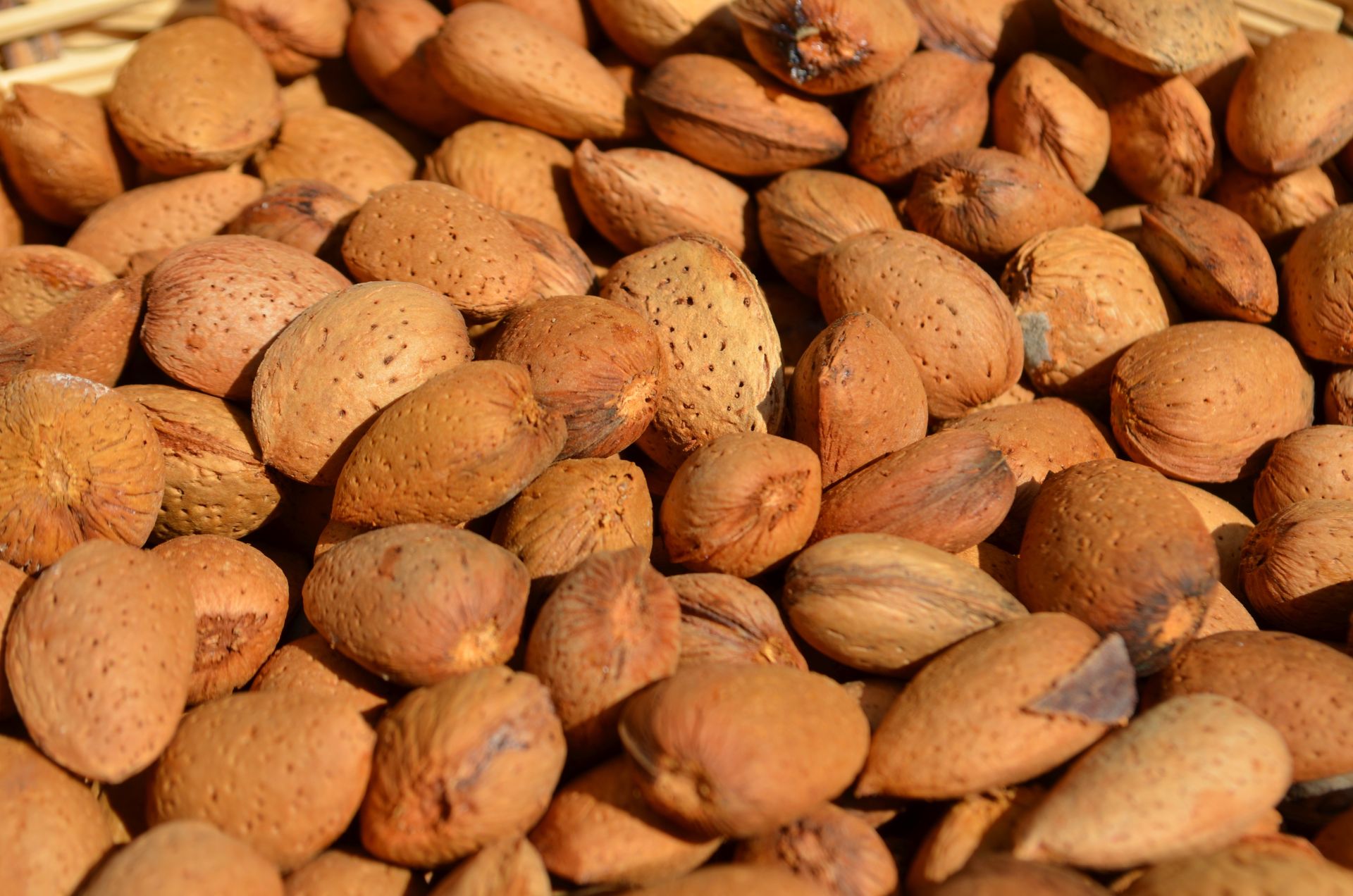 Wystarczy garść dziennie. Wyreguluje cukier, wzmocni serce i pomoże schudnąć