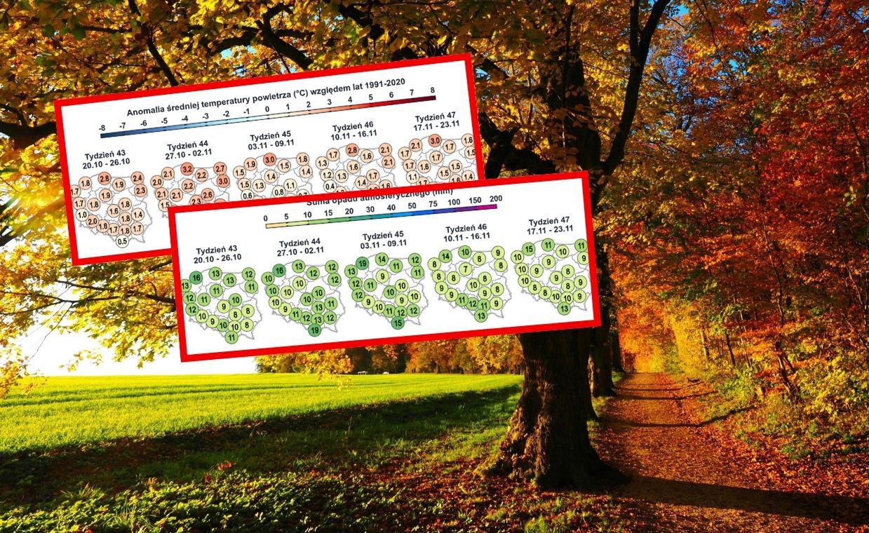 Prognoza do końca listopada. Ochłodzenie ma być tylko chwilowe