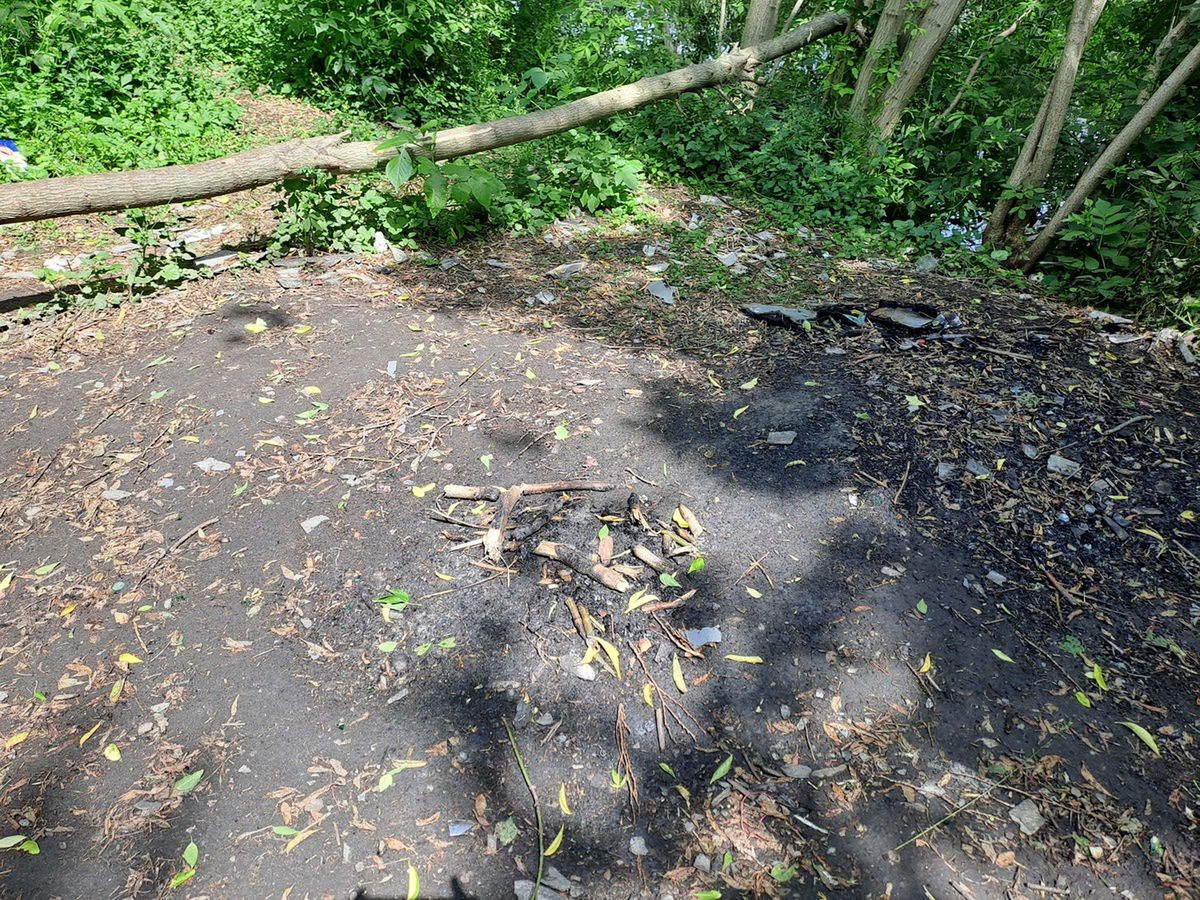 Chciał upiec kiełbaskę nad ogniskiem. Trafił do aresztu