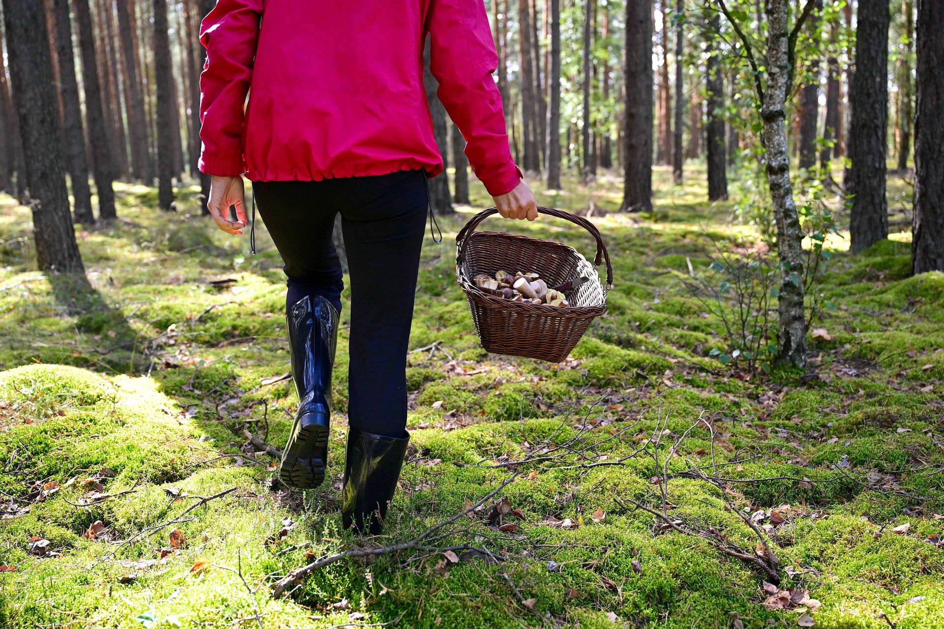 Szokujący internetowy trend. Toksykolog ostrzega
