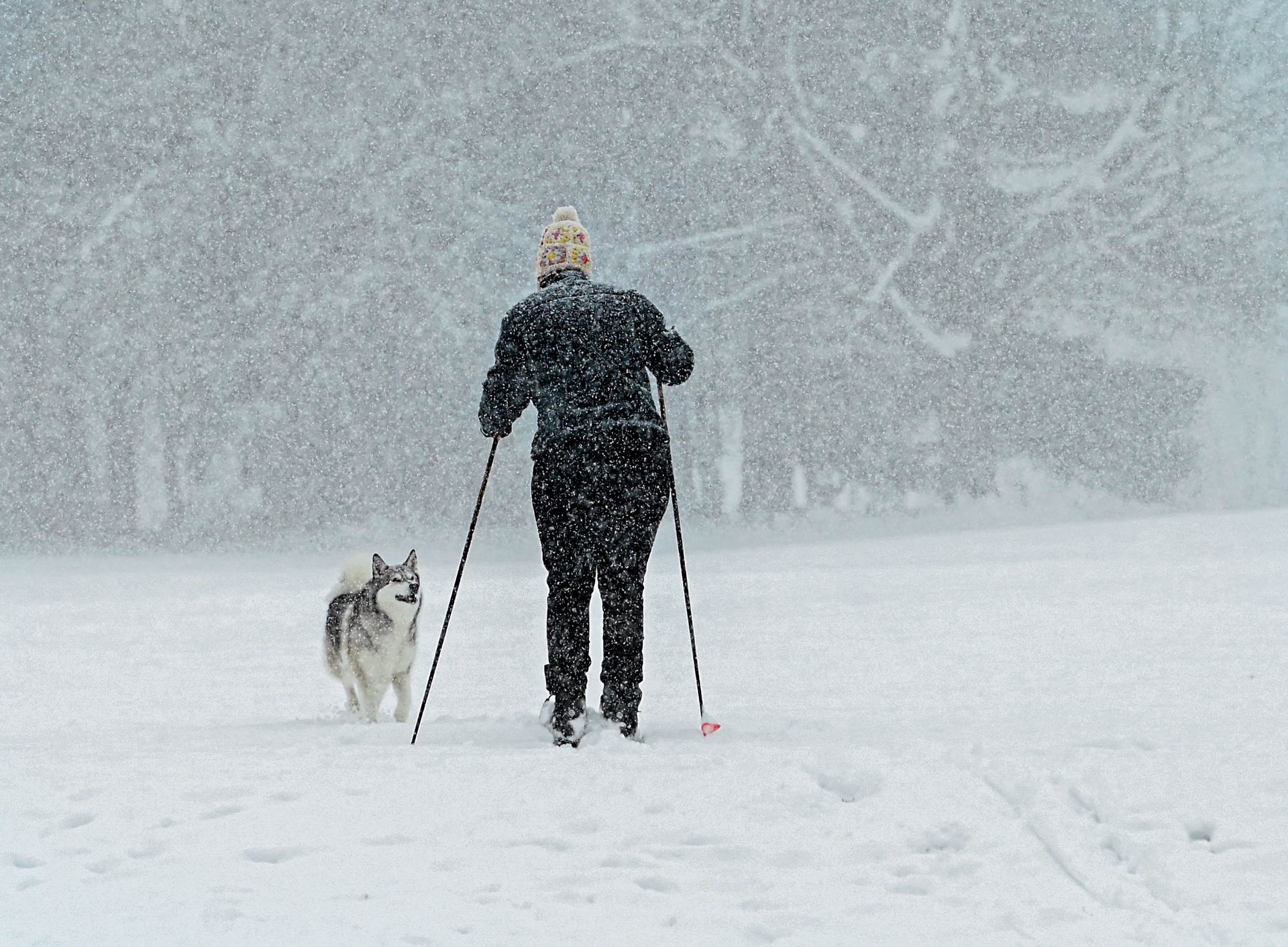 Już ponad 1300 odwołanych lotów. Potężna śnieżyca nadciąga nad Nowy Jork