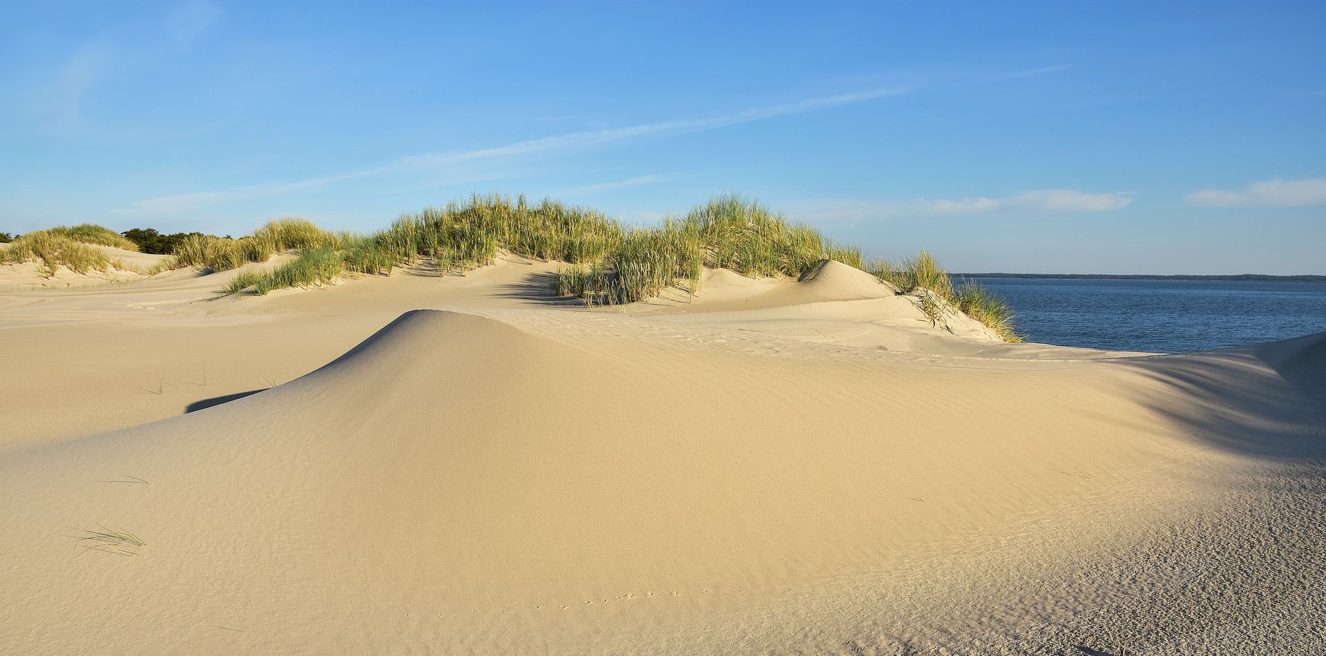 Oaza nad samym Bałtykiem. Zaledwie kilka kroków od szerokiej plaży
