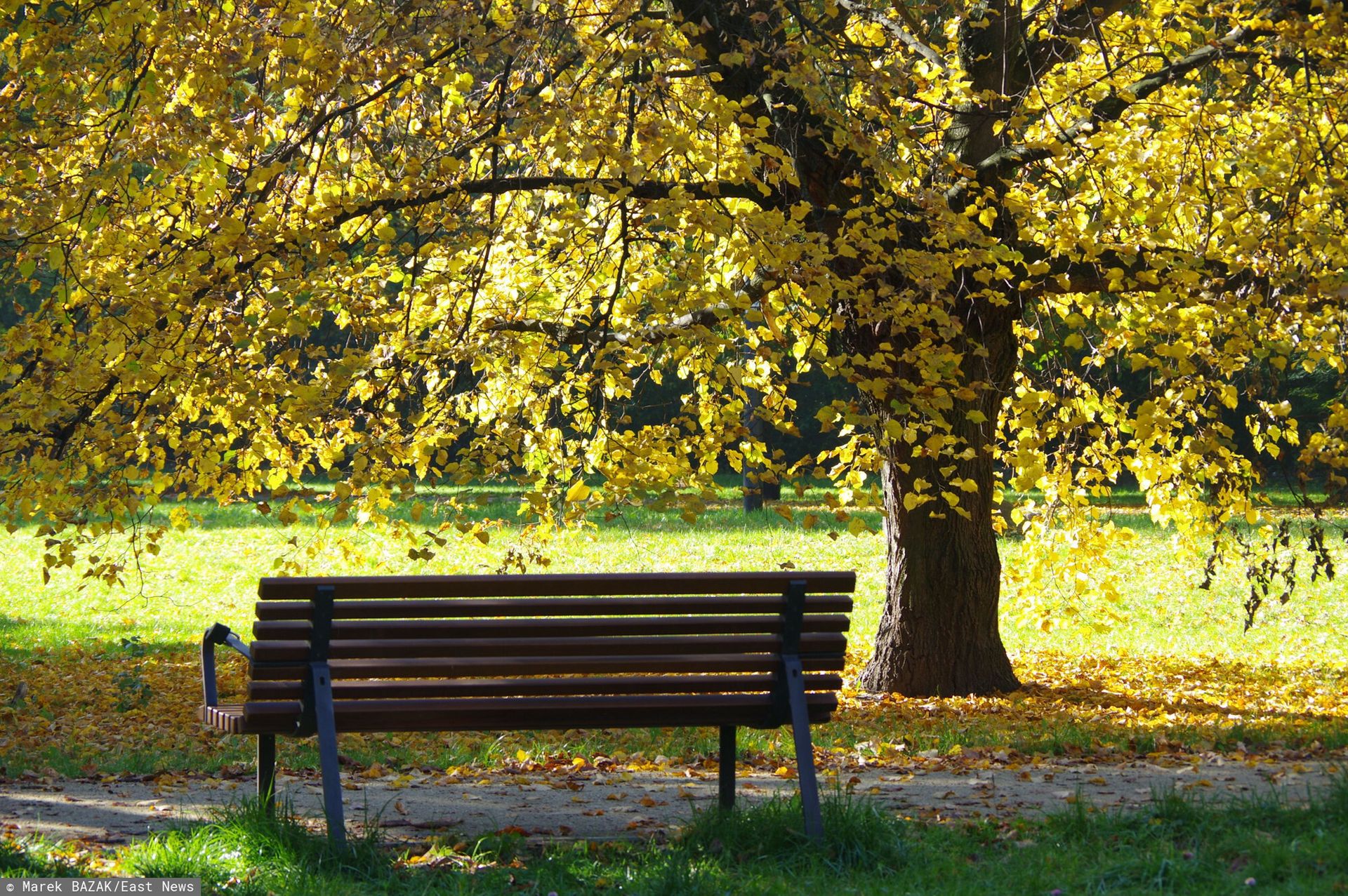 Tragedia w Parku Praskim. Zapadł prawomocny wyrok