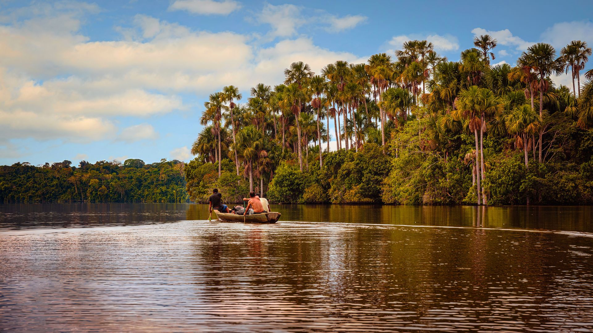 Jeziora w Amazonii gotują się w upale. To oznacza śmierć dla zwierząt