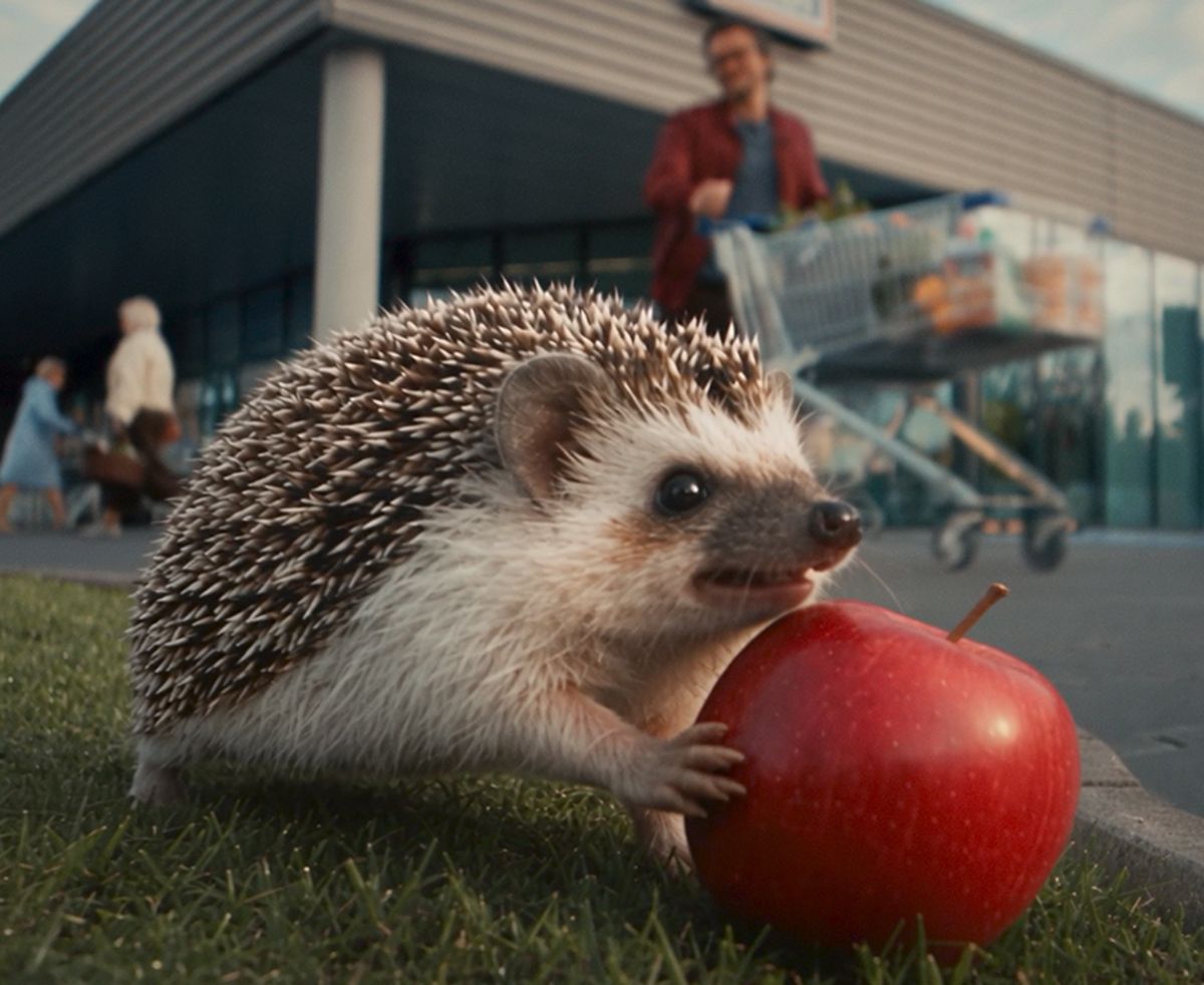 Koń i jeż reklamują promocje Aldi. Sieć rusza z nową kampanią