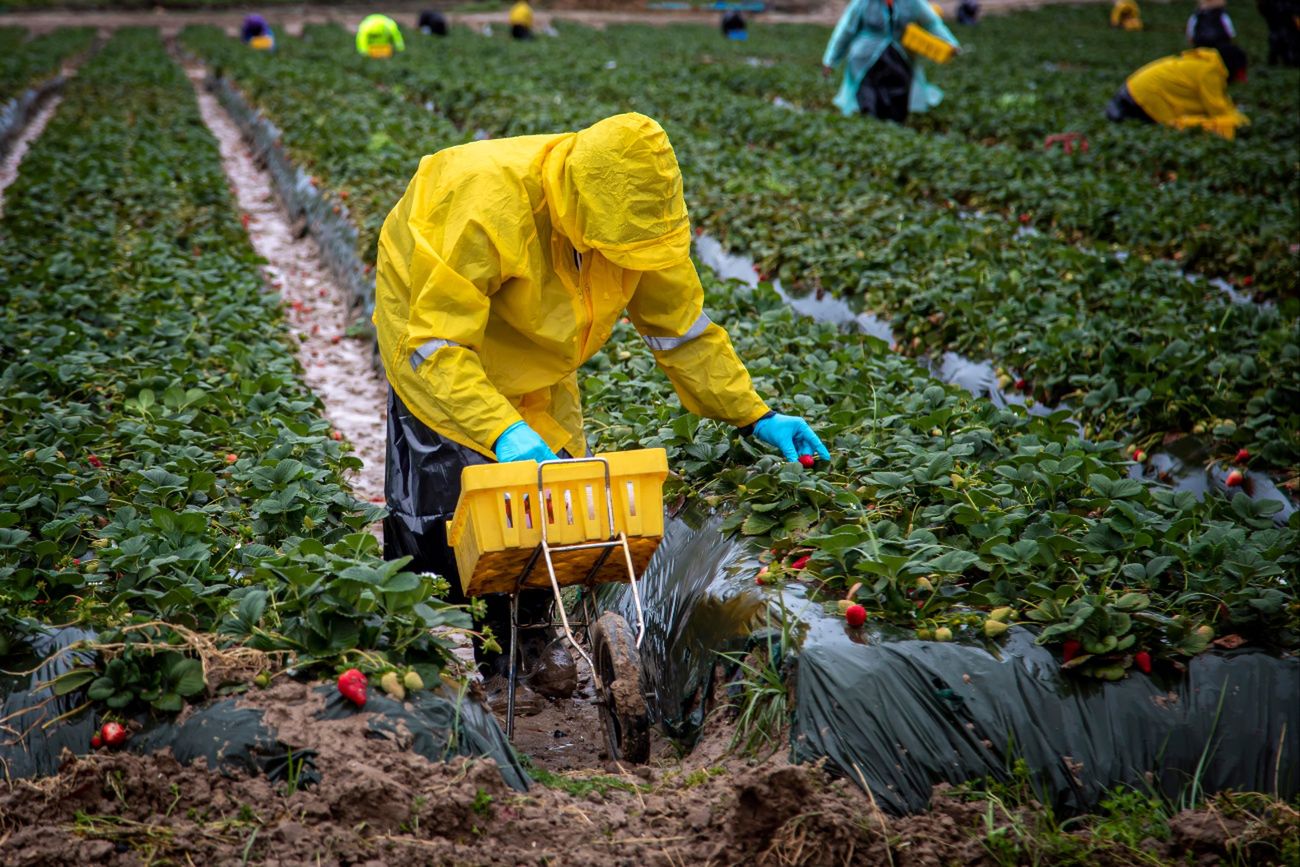 Pracownicy "towarem luksusowym". w okresie można tu zarobić 16 tys. zł