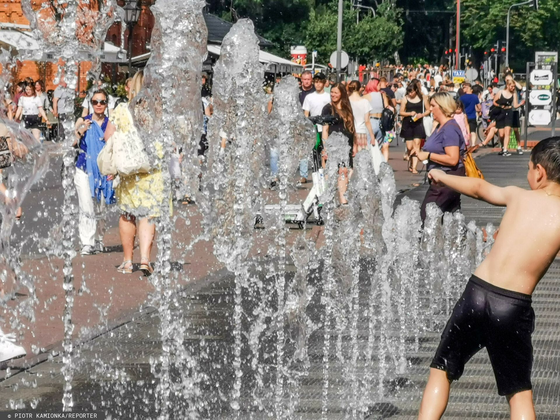 Lato inne niż dotąd. Synoptyk zdradza, co nas czeka do września