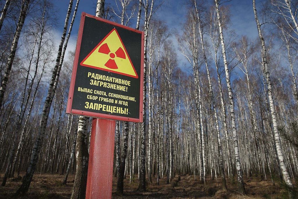 Ziemie Czarnobylskie pod uprawę. Mińsk wydał dekret, eksperci alarmują