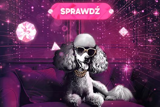 Pudelek VIP jest wygaszany. Zmiana strategii