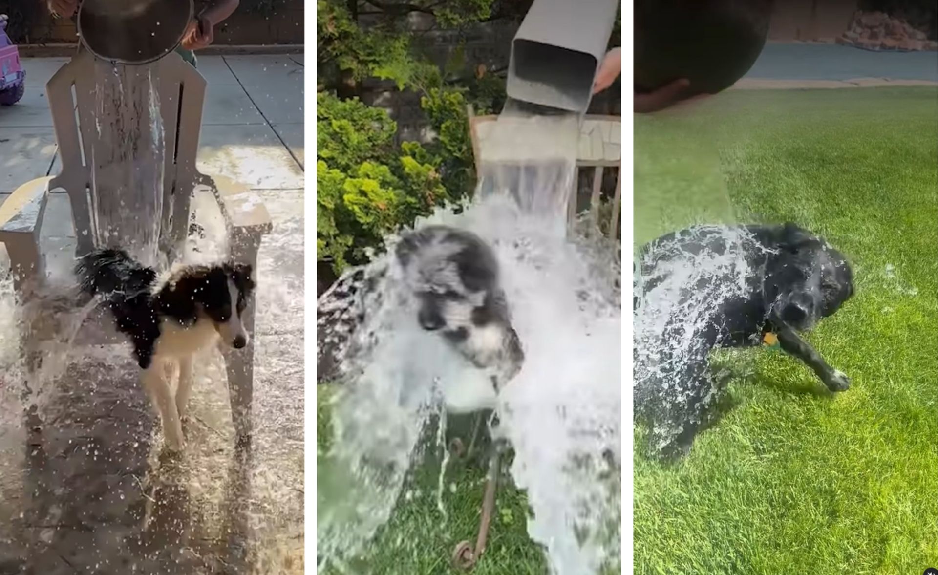 Bezmyślny trend na TikToku. Eksperci alarmują