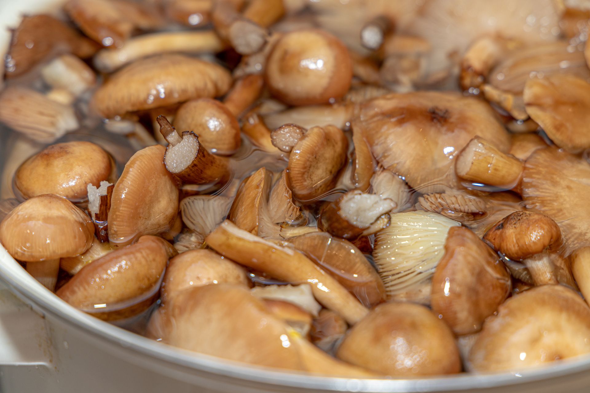 Pyszne grzybki do słoików zrobisz bez zalewy. Nie zepsują się