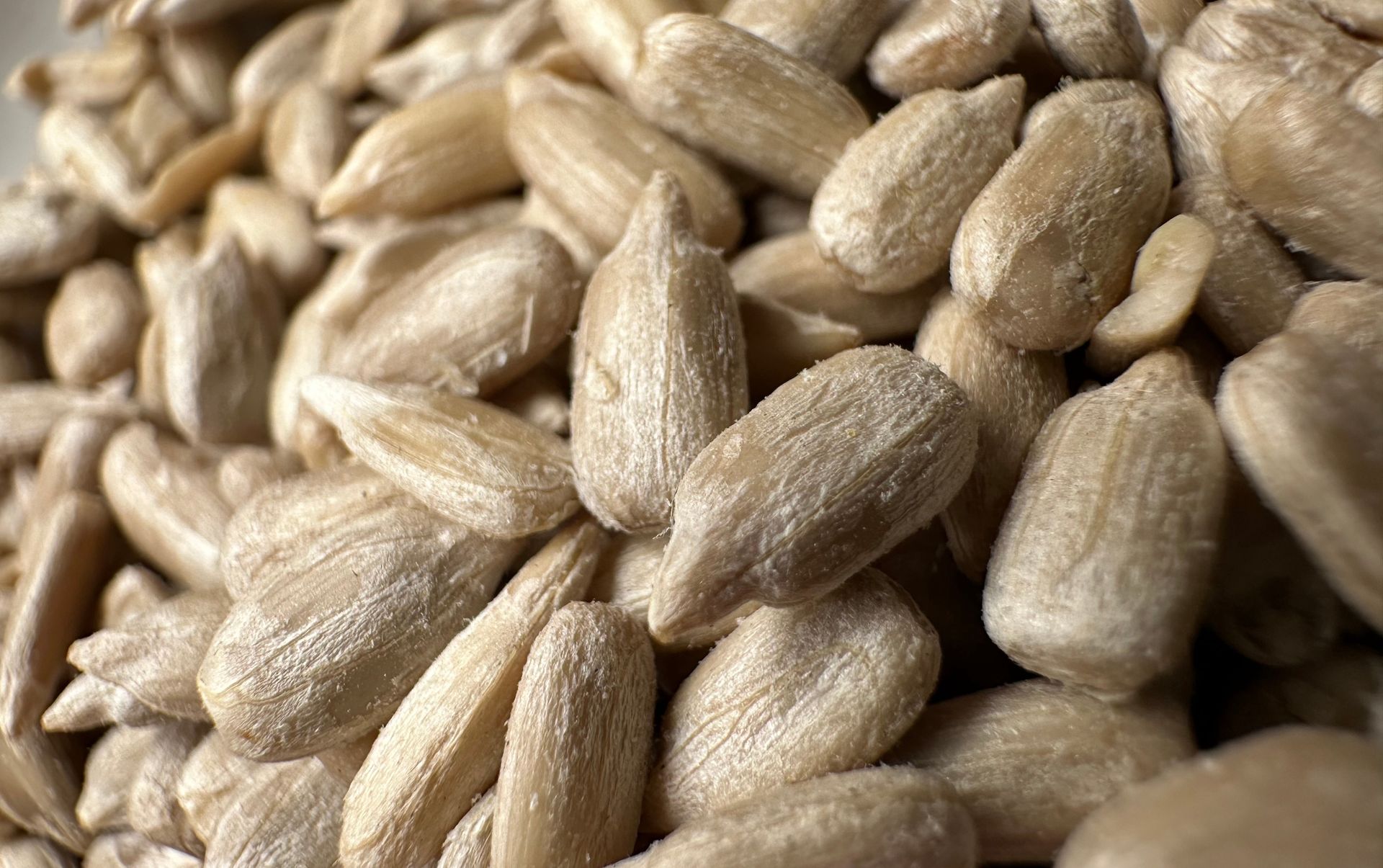 Zapomnij o drogich suplementach. Te nasiona to skarbnica magnezu i witaminy E