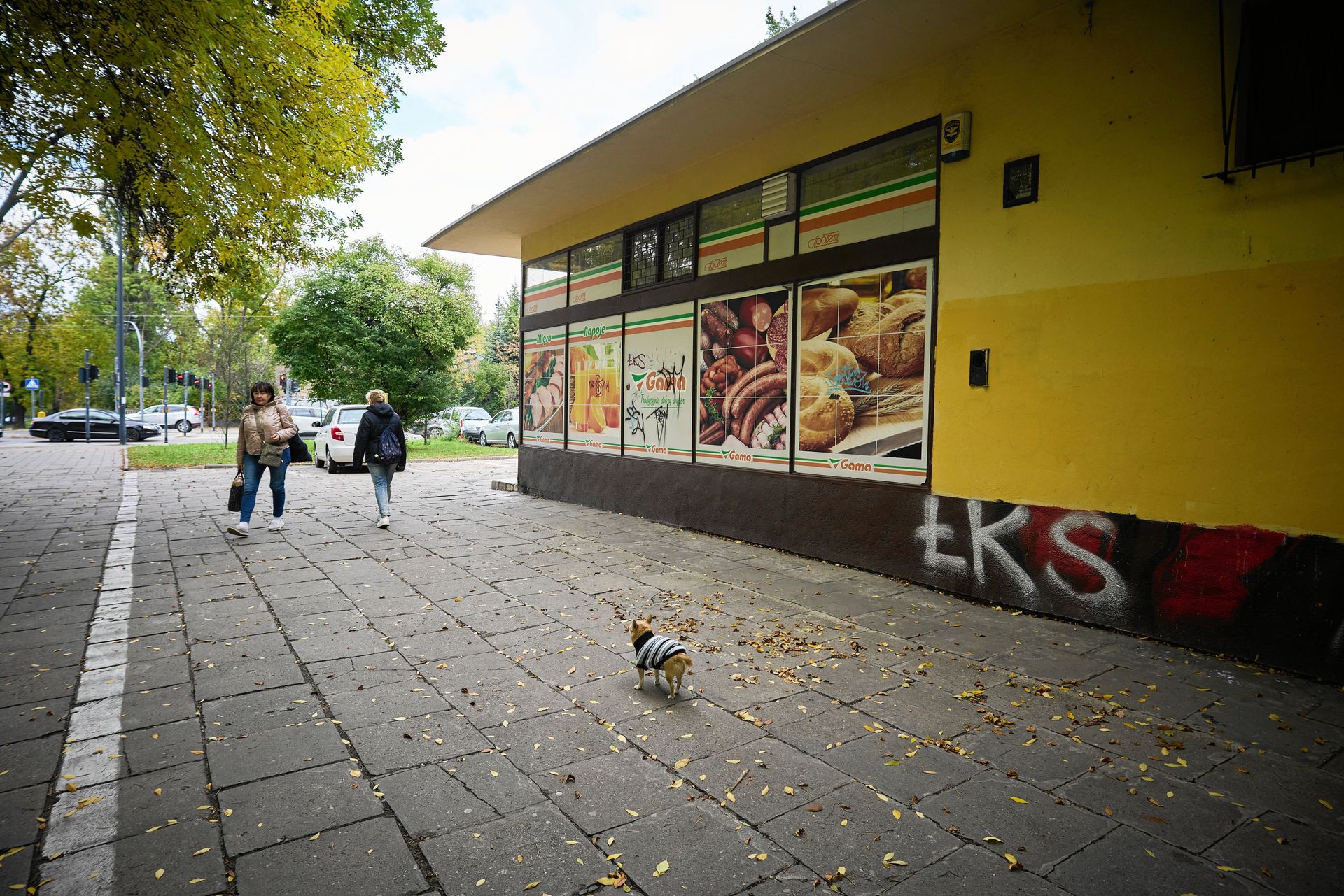 "Istniejemy od 100 lat". Znana sieć sklepów kończy działalność