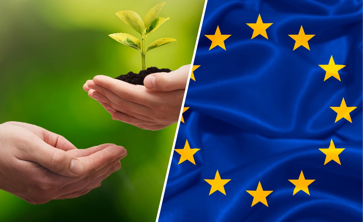 Europejski Zielony Ład i Fit For 55 - czym jest i na czym polega? Najważniejsze założenia, deklaracje i kontrowersje