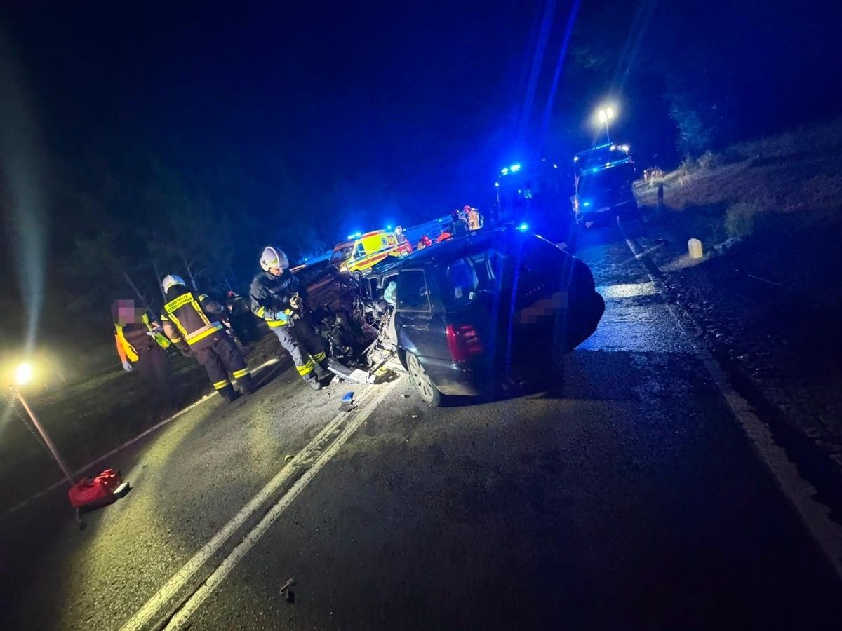Tragiczny wypadek. 17-latek bez prawa jazdy zginął na miejscu