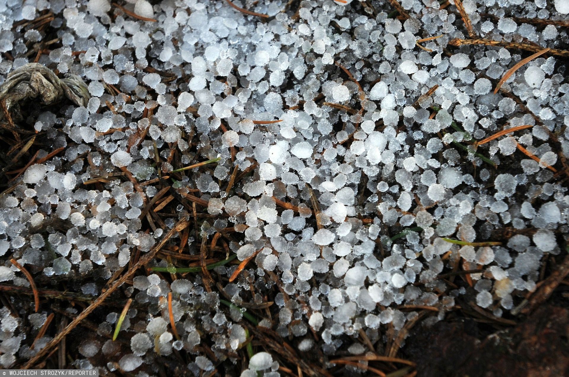 Chłodny front dotarł nad Polskę. Spadła krupa śnieżna