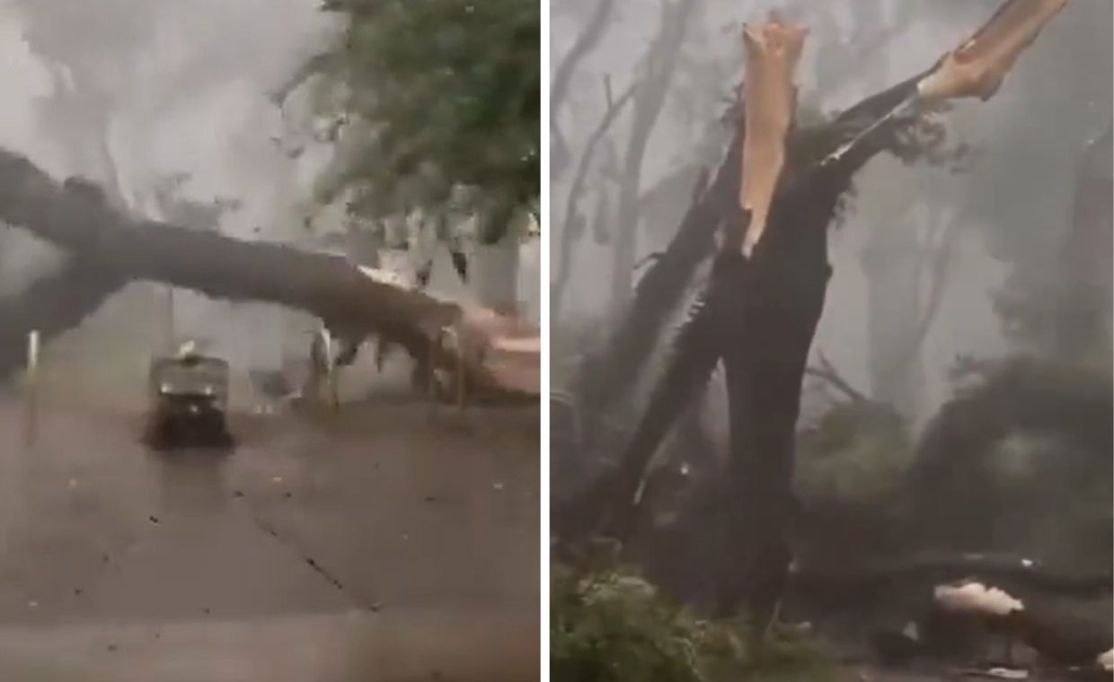 Sao Paulo po cyklonie: 1,3 mln osób bez prądu. Setki lotów odwołanych