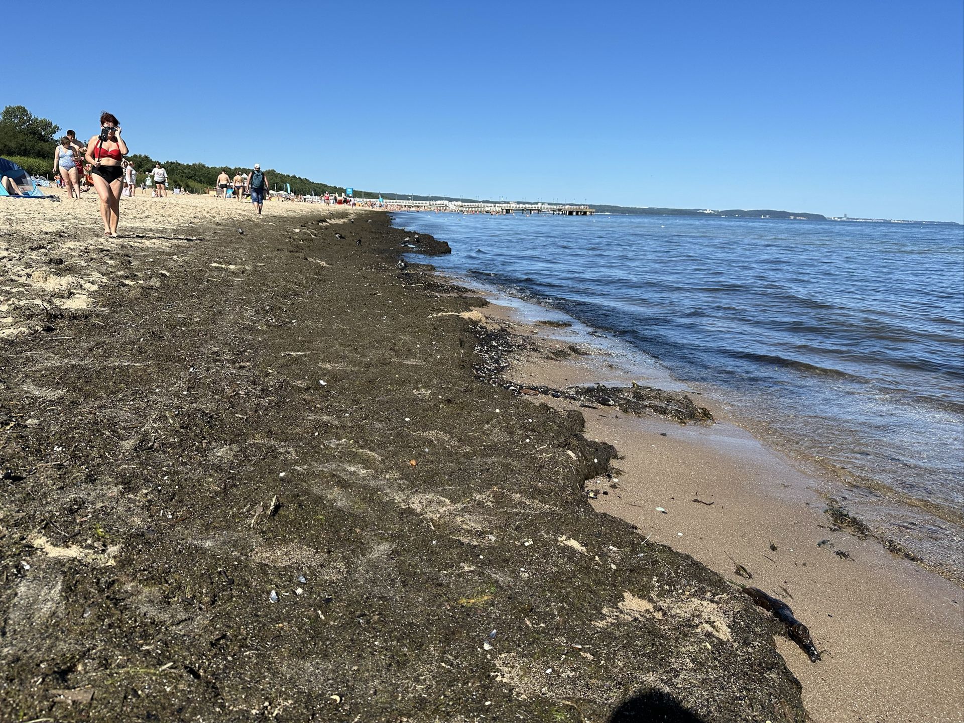 Niemiła niespodzianka dla turystów. Tak wygląda plaża w Gdańsku