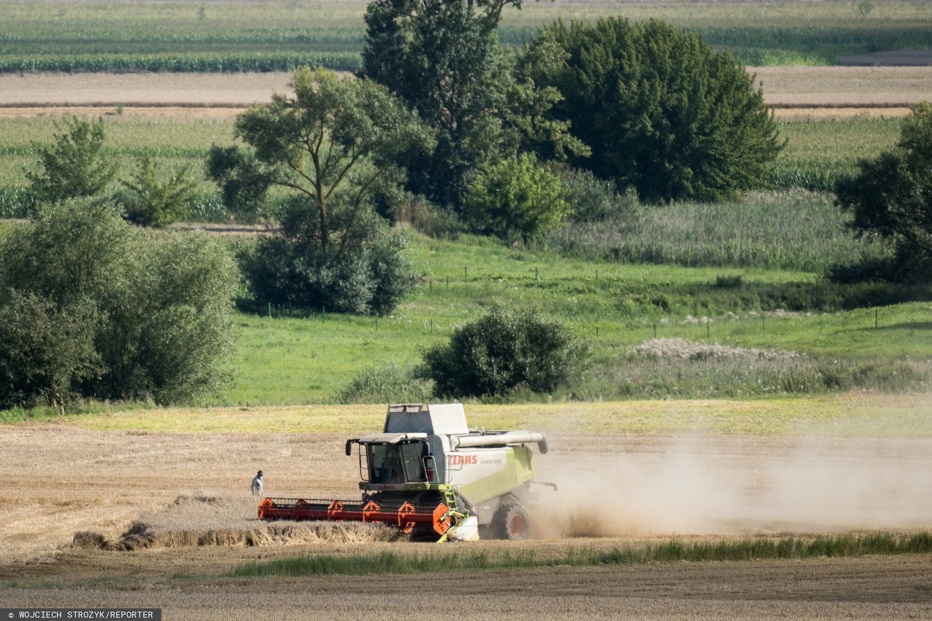 Mówi, iż pracują u niego żołnierze. Oto ile płaci im za żniwa