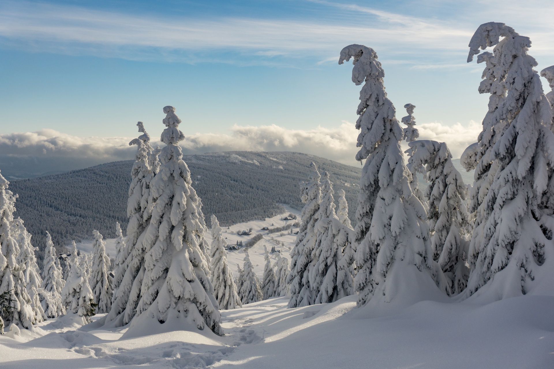Zimowy urlop na szlaku? Ta aplikacja pomoże Ci się nie zgubić